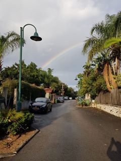 Image may contain: sky, tree and outdoor